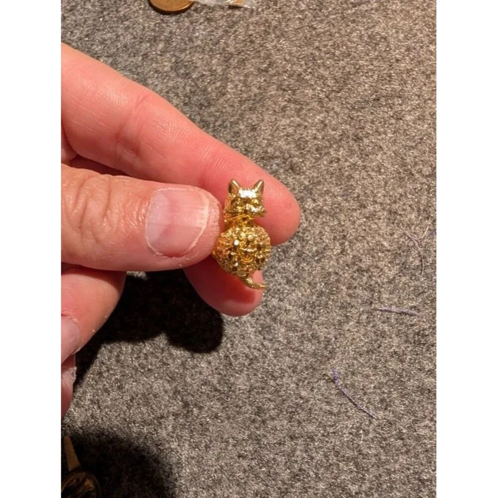 Cat pen or tie tack?